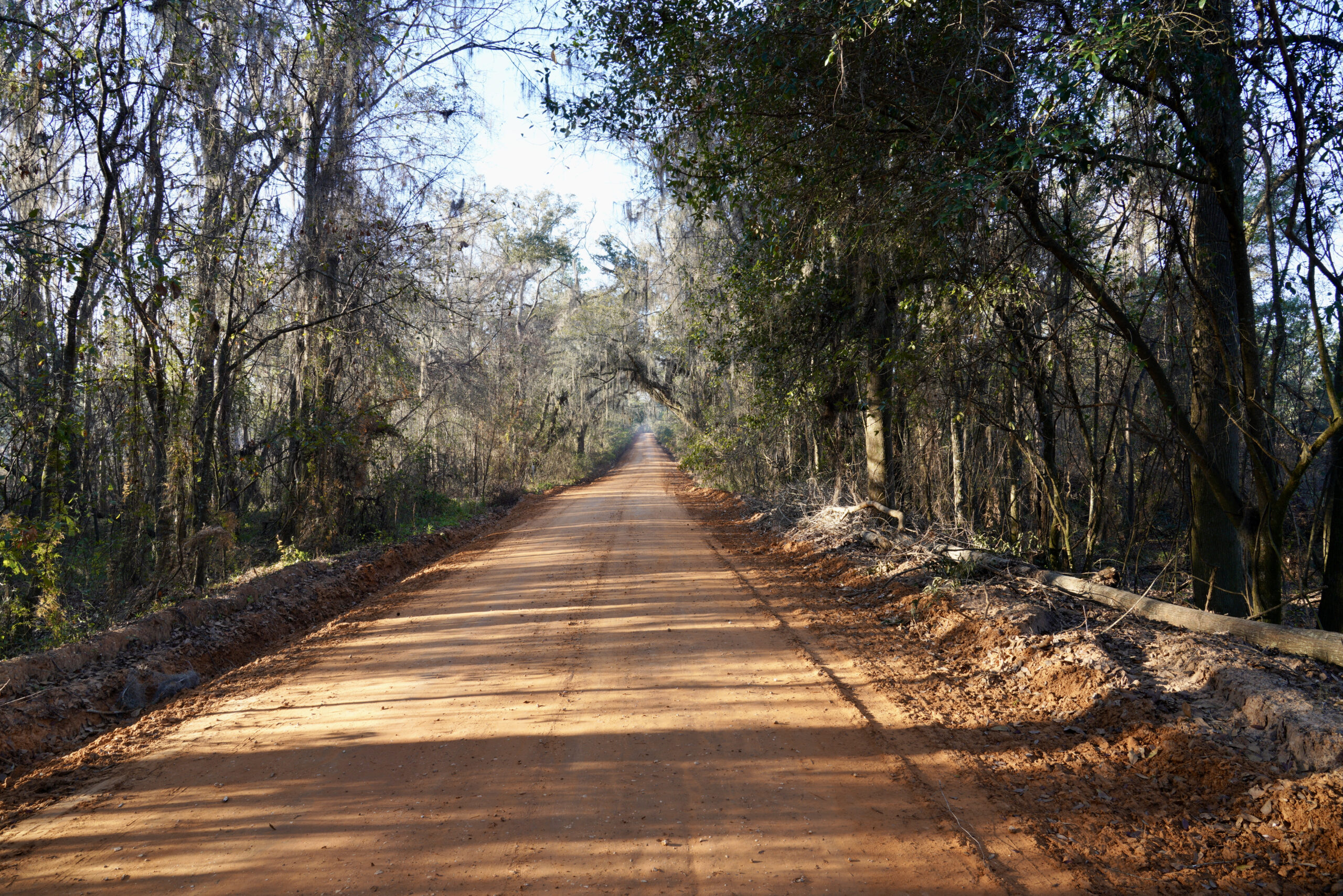 Red, red roads of Georgia